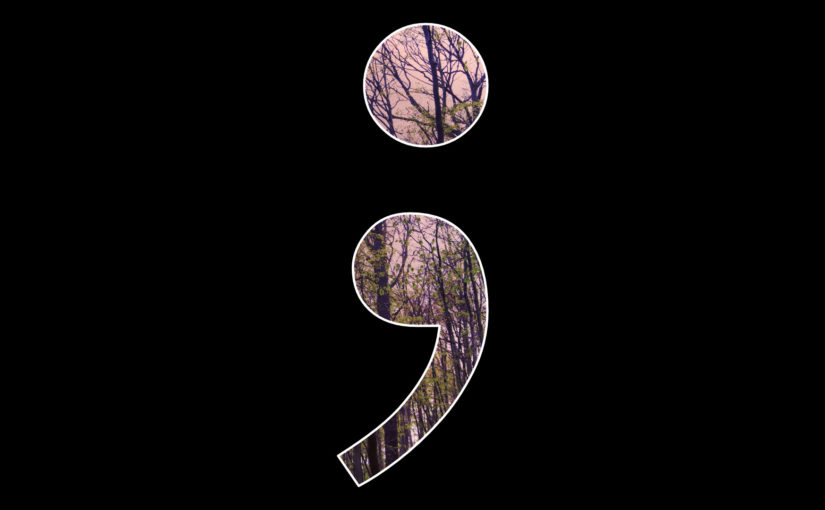 Semikolon Logo
