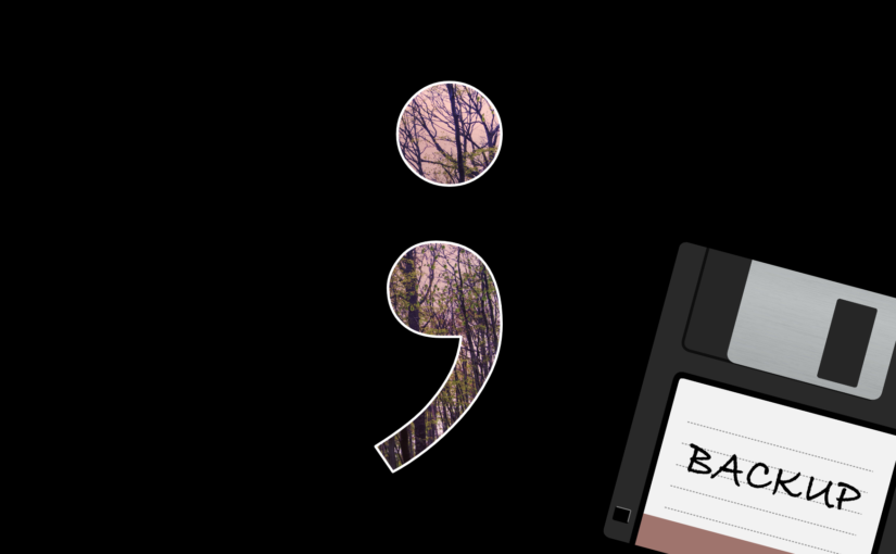 Semikolon Backups